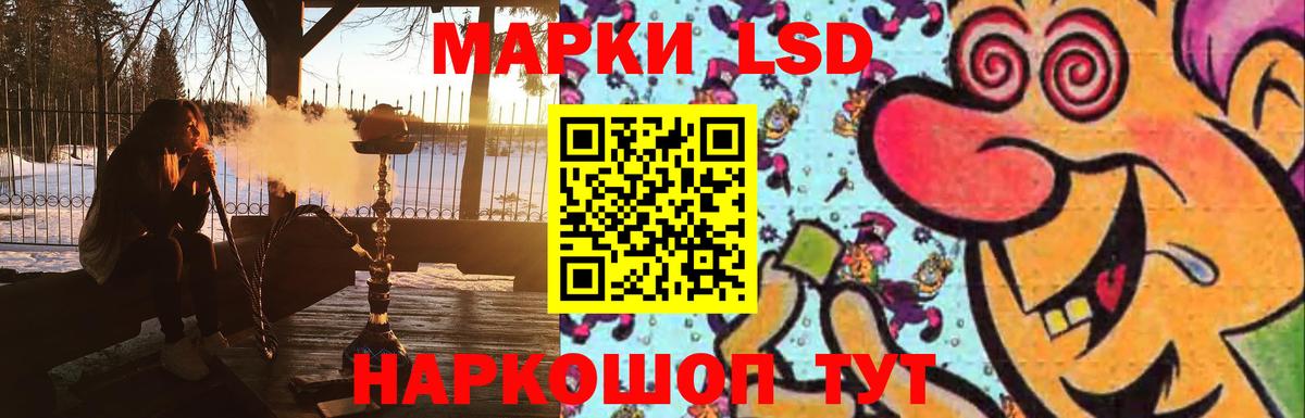 Лсд 25 экстази кислота  Вход с VPN  Лсд 25 экстази  Бердск  LSD-25 экстази кислота 