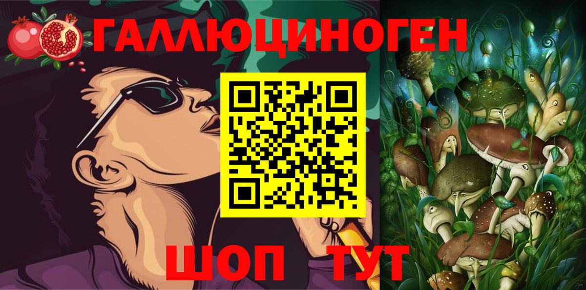 Галлюциногенные грибы GOLDEN TEACHER Бердск