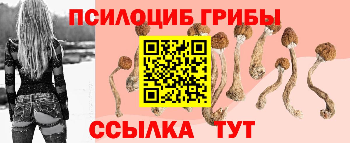 Галлюциногенные грибы мухоморы  Псилоцибиновые грибы GOLDEN TEACHER  Вход с VPN  Бердск 