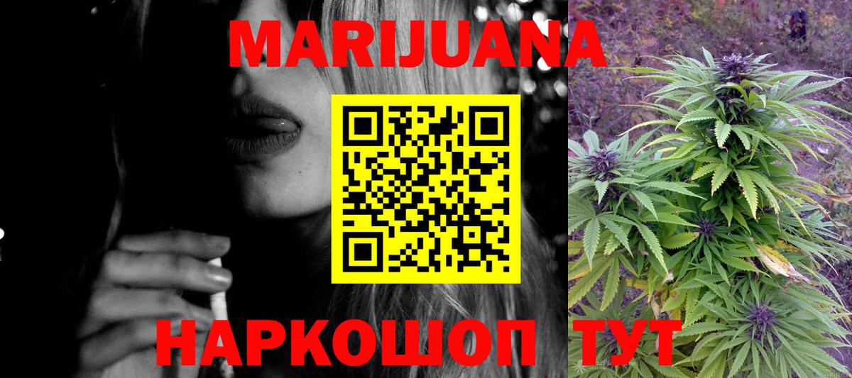 Конопля план Бердск